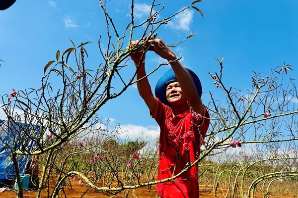 Đào Nhật Tân “bén duyên” cao nguyên Đắk Lắk